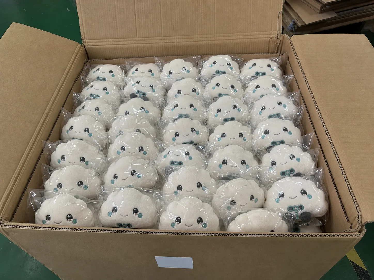 carton packing and shipment check after individual VTuber plush packaging